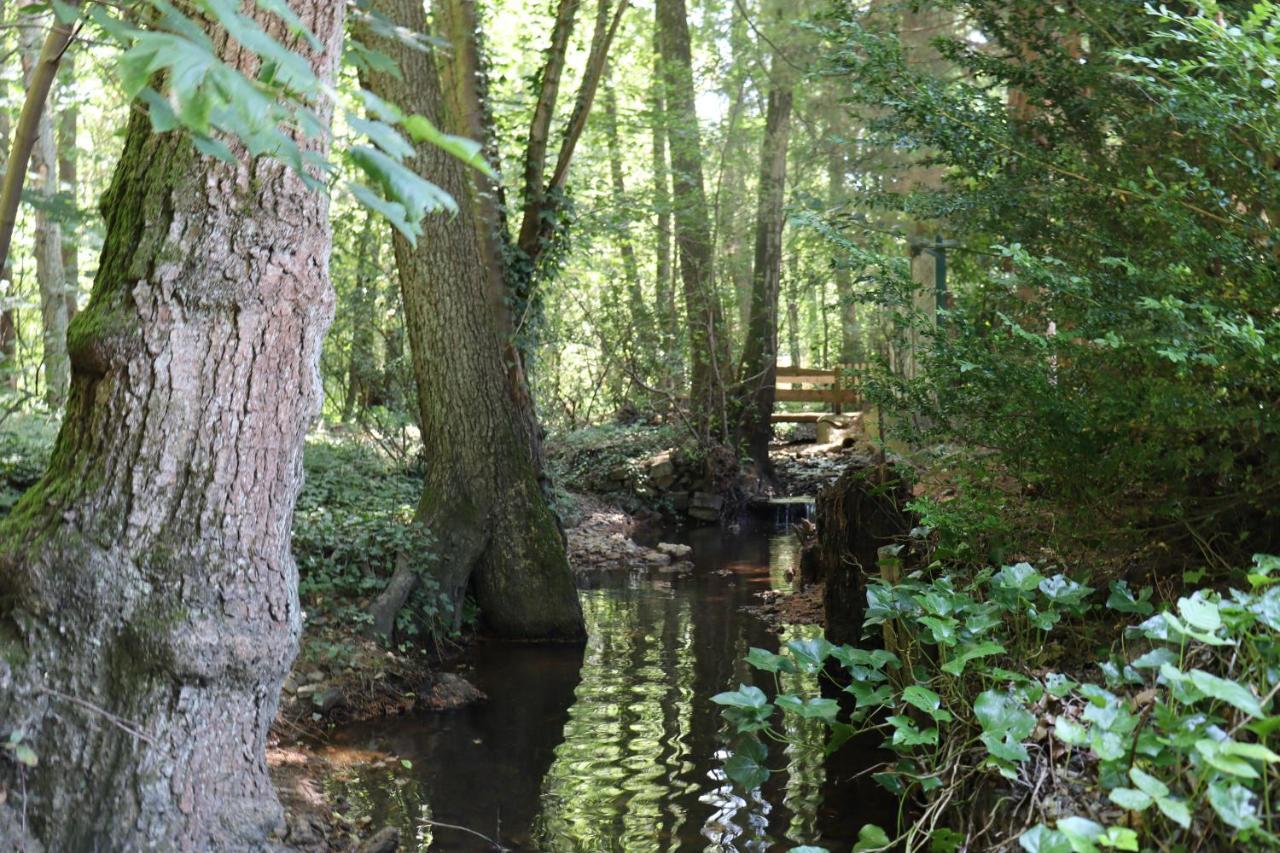 Bio-Ferienhaus-Eifel Rott  Bagian luar foto